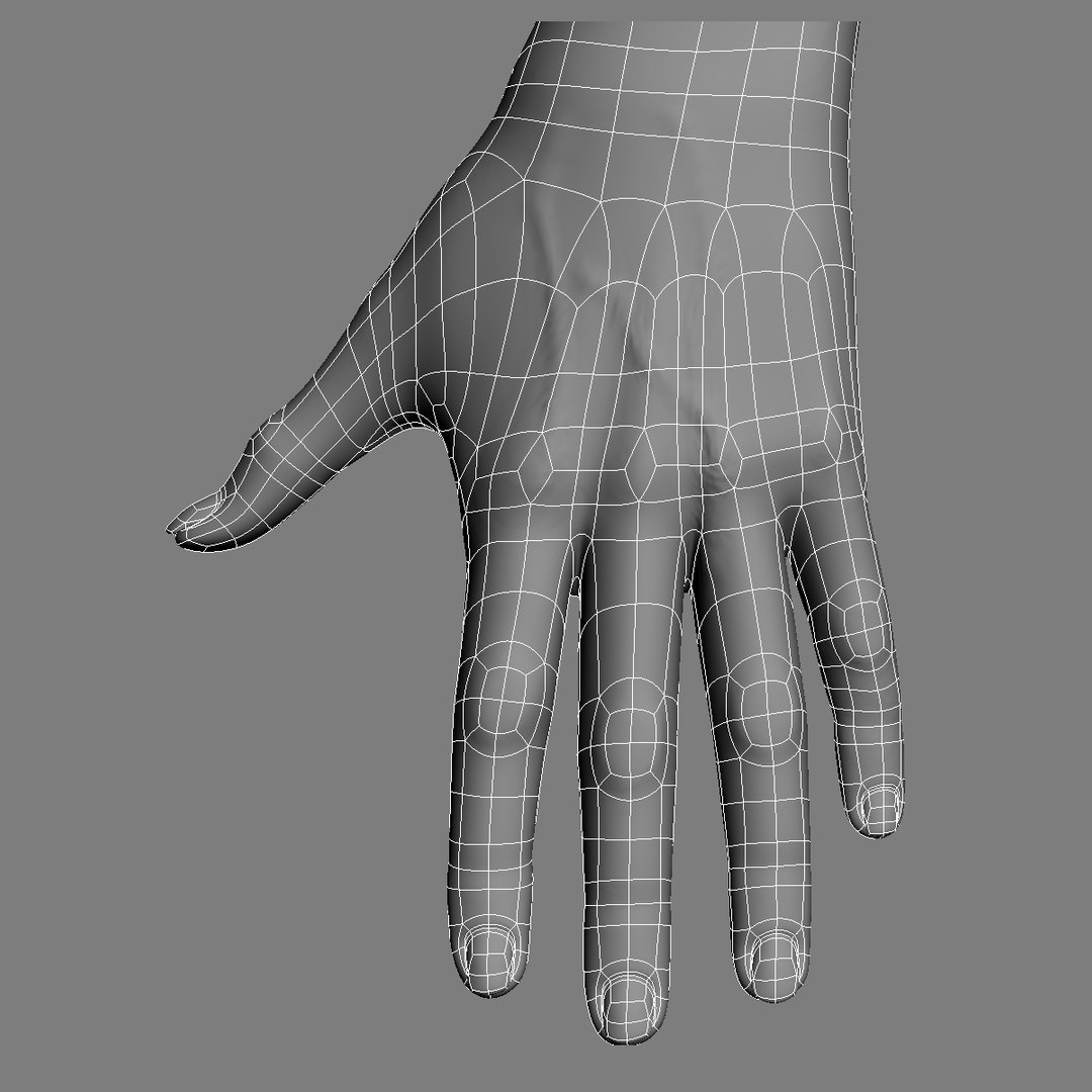 3ds max female arms https://p.turbosquid.com/ts-thumb/UO/CGYoJC/hBMj11wH/wire1/jpg/1403040806/1920x1080/fit_q87/afaf0970af8284b5ec7765f51bc0aa2697d077e3/wire1.jpg