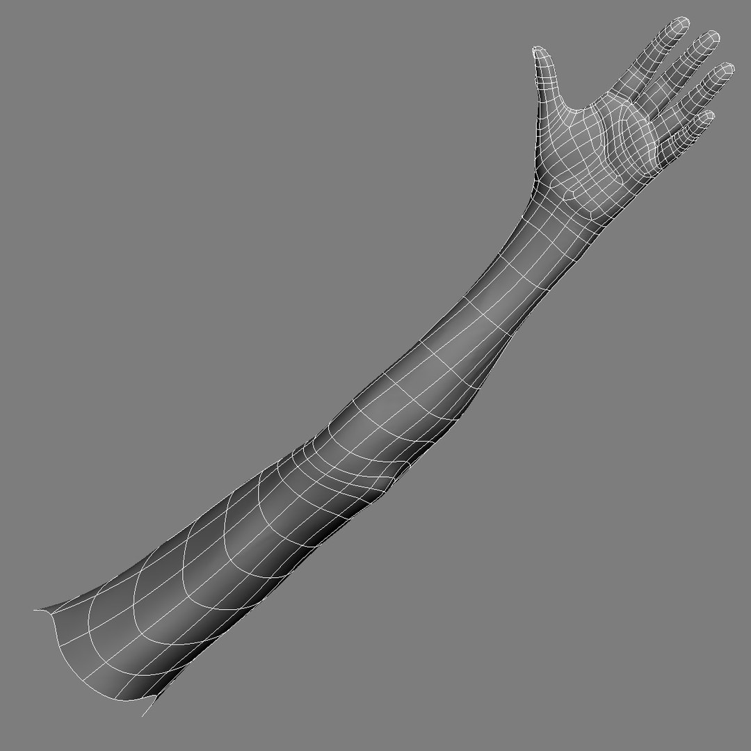 3ds max female arms https://p.turbosquid.com/ts-thumb/UO/CGYoJC/qeOJg2G6/wire2/jpg/1403040806/1920x1080/fit_q87/65c3b9a842648263ec8f719f7924a541f9742844/wire2.jpg