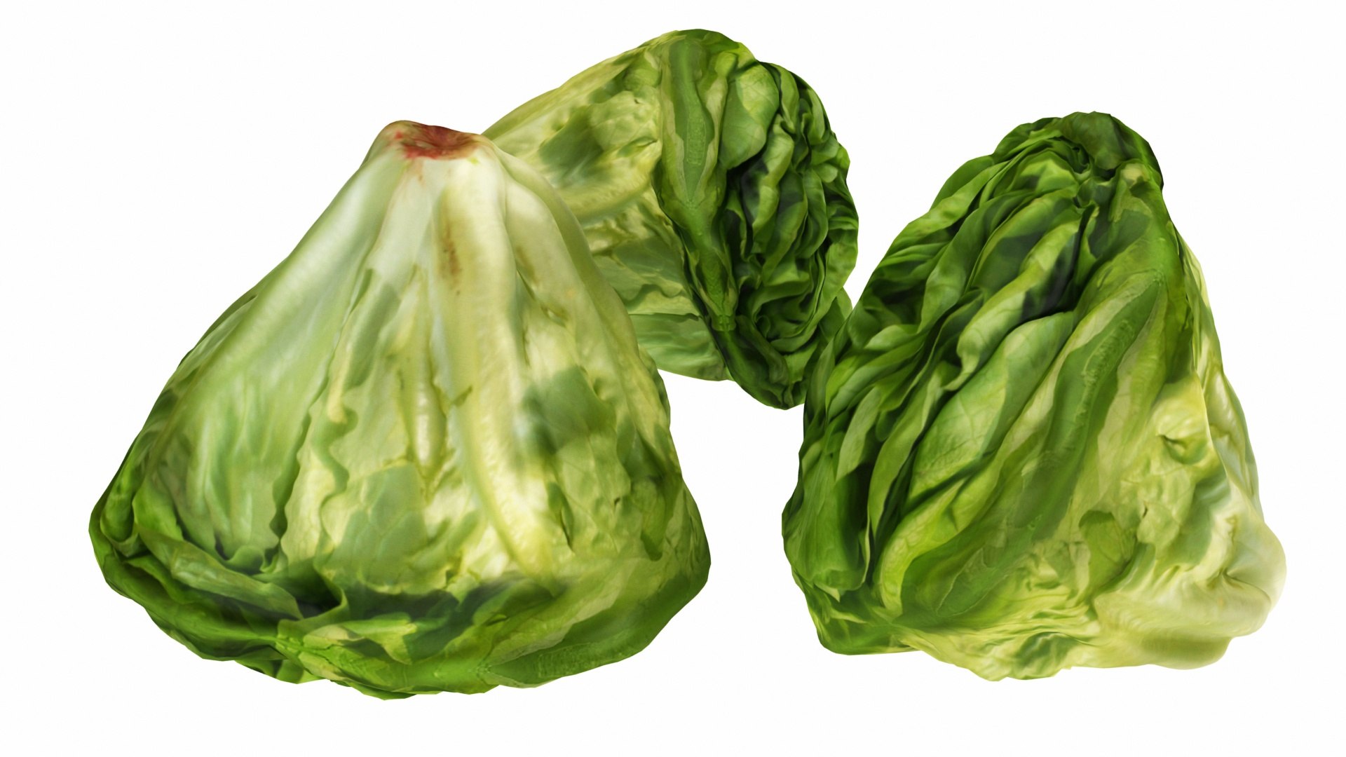 3D salad vegetables 10 1 https://p.turbosquid.com/ts-thumb/UO/E4Orzj/IiBRuqpV/0lettuce4/jpg/1588675897/1920x1080/fit_q87/f8c1e24bcac227d748d4634d444a6dcff6f204a1/0lettuce4.jpg