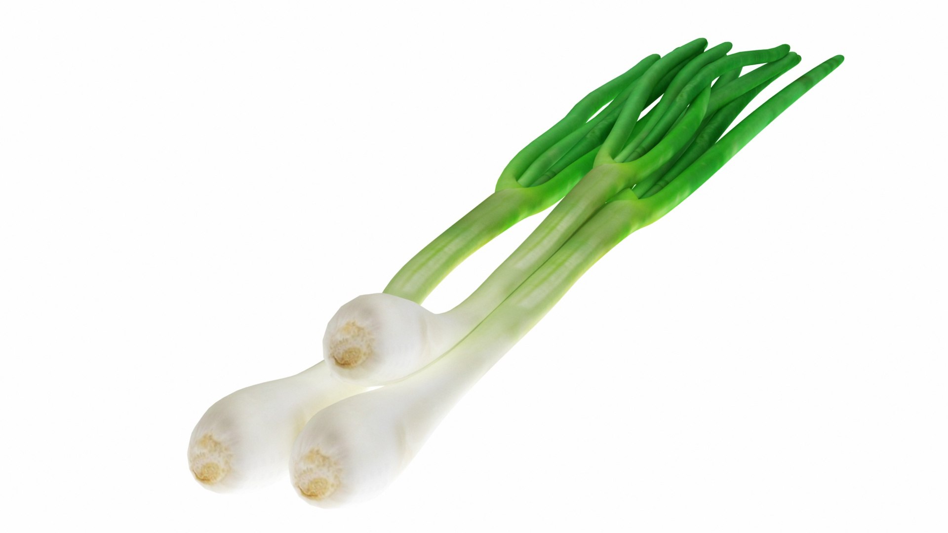 3D salad vegetables 10 1 https://p.turbosquid.com/ts-thumb/UO/E4Orzj/xCBikzP0/0greenonion2/jpg/1588675790/1920x1080/fit_q87/fc0a321ee67a1be7e4773d257be681a3ba9bd78e/0greenonion2.jpg
