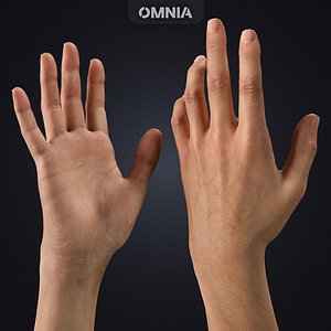 Realistic Rigged Arm V2 3D model