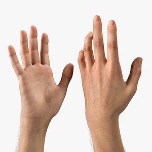 Realistic Rigged Arm V2 3D model