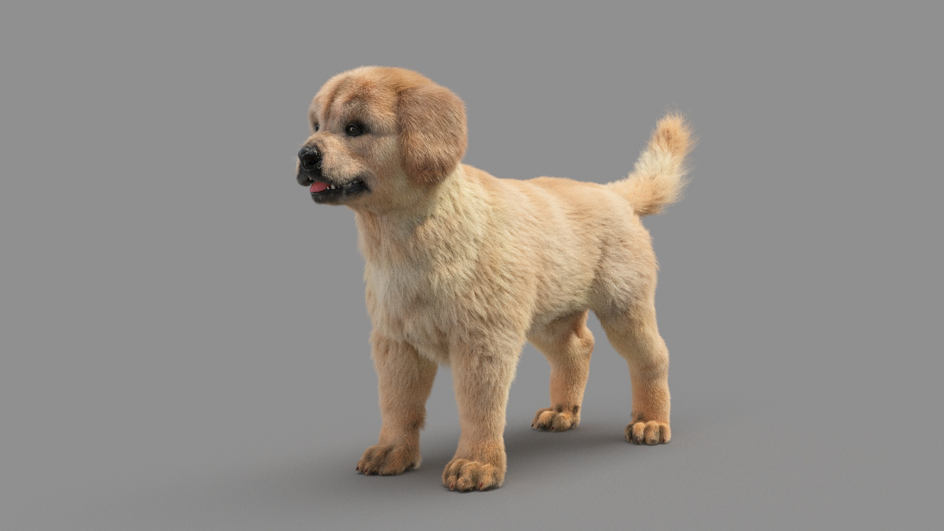 Golden Retriever Puppy 3D Model - TurboSquid 1754011