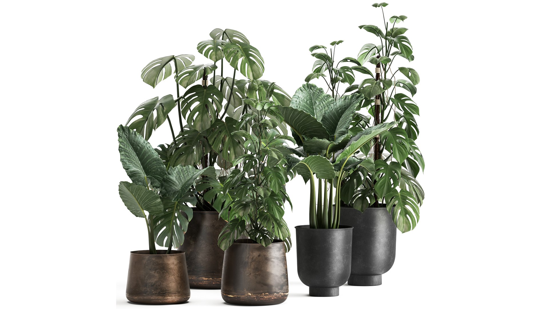 3D model Houseplants in a rusty flowerpot for the interior 999 https://p.turbosquid.com/ts-thumb/UO/ajDKiR/4P/1plants2106202103/jpg/1624373997/1920x1080/fit_q87/5c04b89c53a4a9c3030681ac6710b1d1ca495ec9/1plants2106202103.jpg