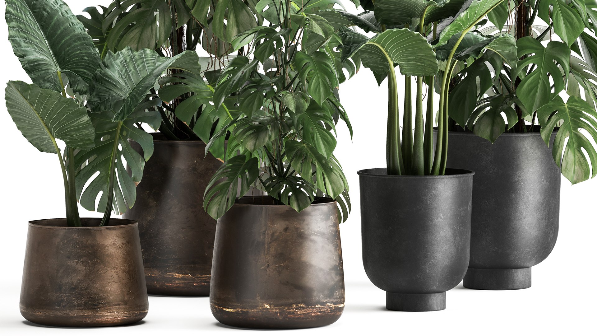 3D model Houseplants in a rusty flowerpot for the interior 999 https://p.turbosquid.com/ts-thumb/UO/ajDKiR/L9/1plants2106202104/jpg/1624374055/1920x1080/fit_q87/3bfcdf4da85225d96a503cca9020ad1aa1ce4e05/1plants2106202104.jpg