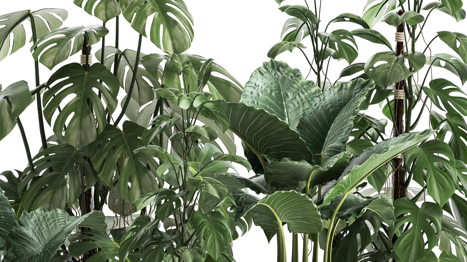 3D model Houseplants in a rusty flowerpot for the interior 999 https://p.turbosquid.com/ts-thumb/UO/ajDKiR/Zi/1plants2106202105/jpg/1624374028/1920x1080/fit_q87/64f5fb12ae451a4d8735ccb4cb1d2c6c0f245de2/1plants2106202105.jpg