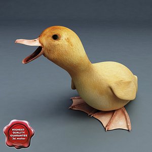 3d model duckling pose5