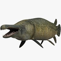 Alligator Gar