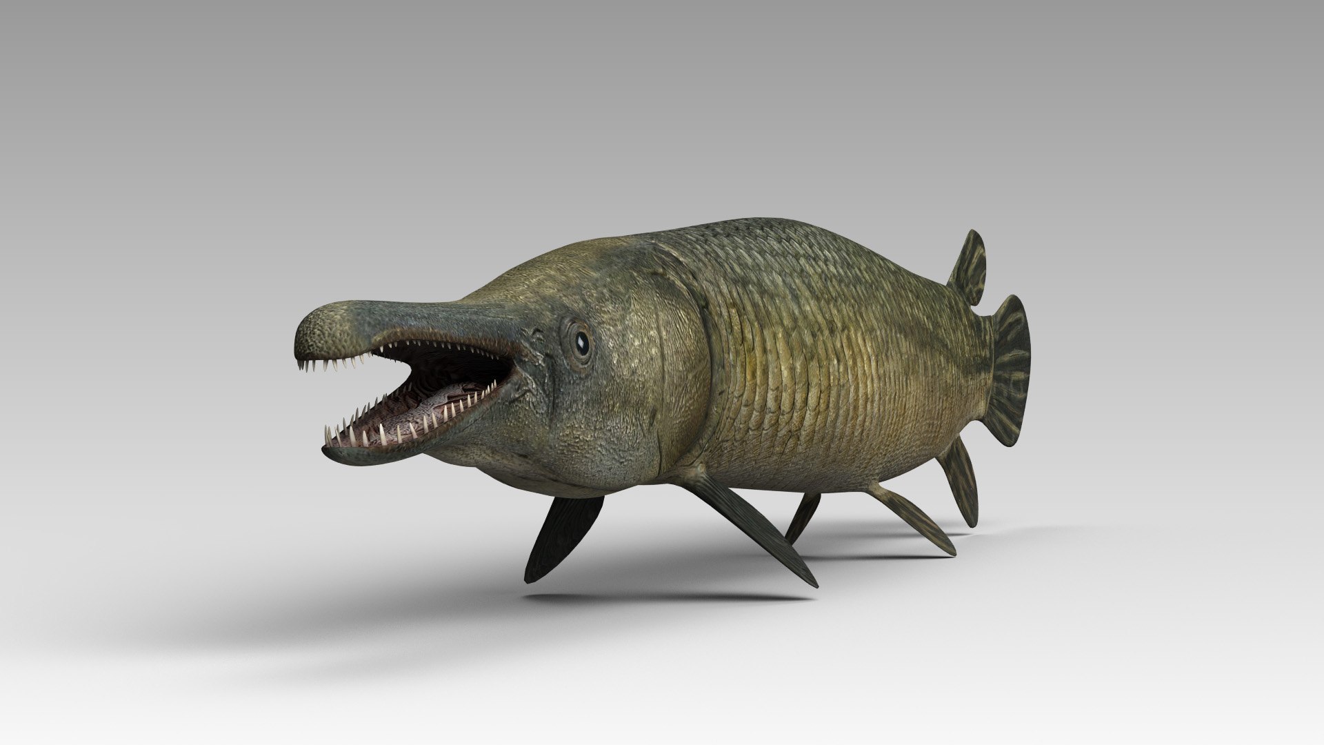 3D Model Alligator Gar - TurboSquid 1506235