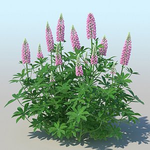 lupines 10 items 3D model