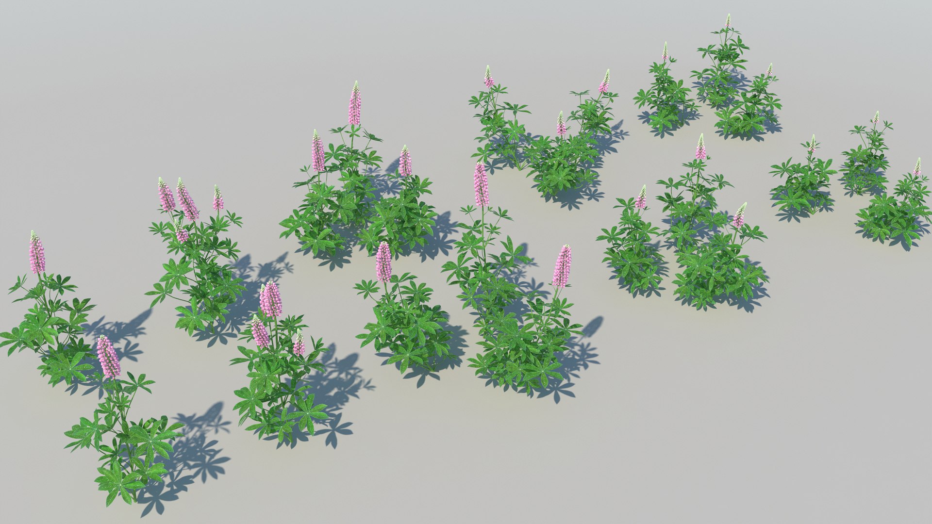 lupines 10 items 3D model https://p.turbosquid.com/ts-thumb/UP/1iqYsQ/mYBAIKg4/lupines_all/jpg/1533649489/1920x1080/fit_q87/b8f458655d7d7dd18ac036ac97789aec9ef1d33a/lupines_all.jpg