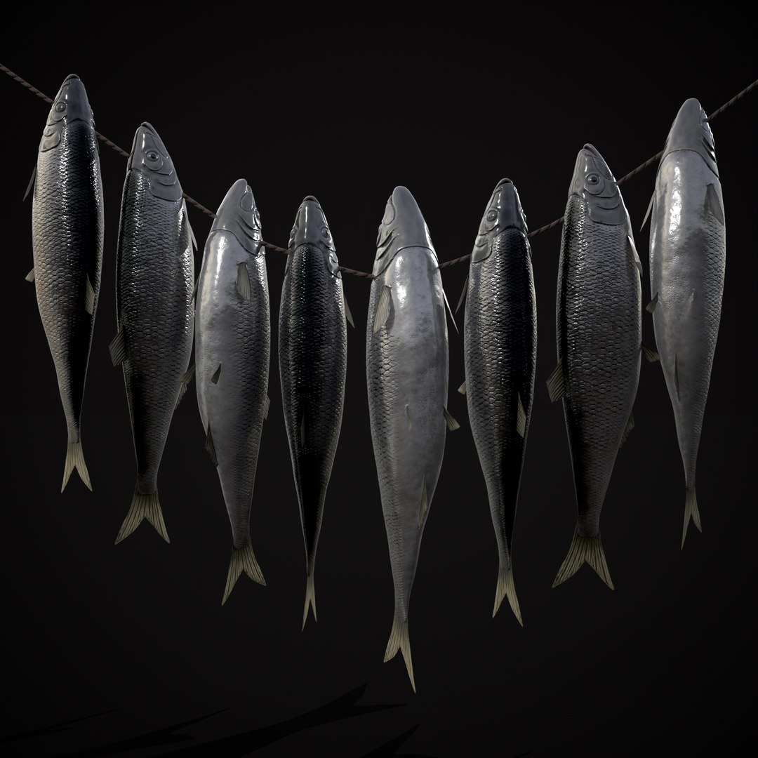 Hanging Herring Fish 3D - TurboSquid 2215210