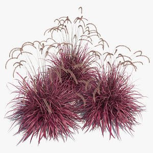 3d max pennisetum fireworks grass fountain