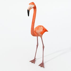 3D flamingo