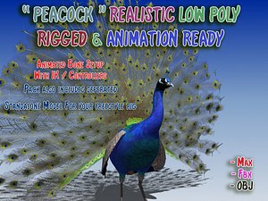 Peacock Low Poly Rigged Animated