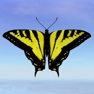 butterfly tiger swallowtail 3d model