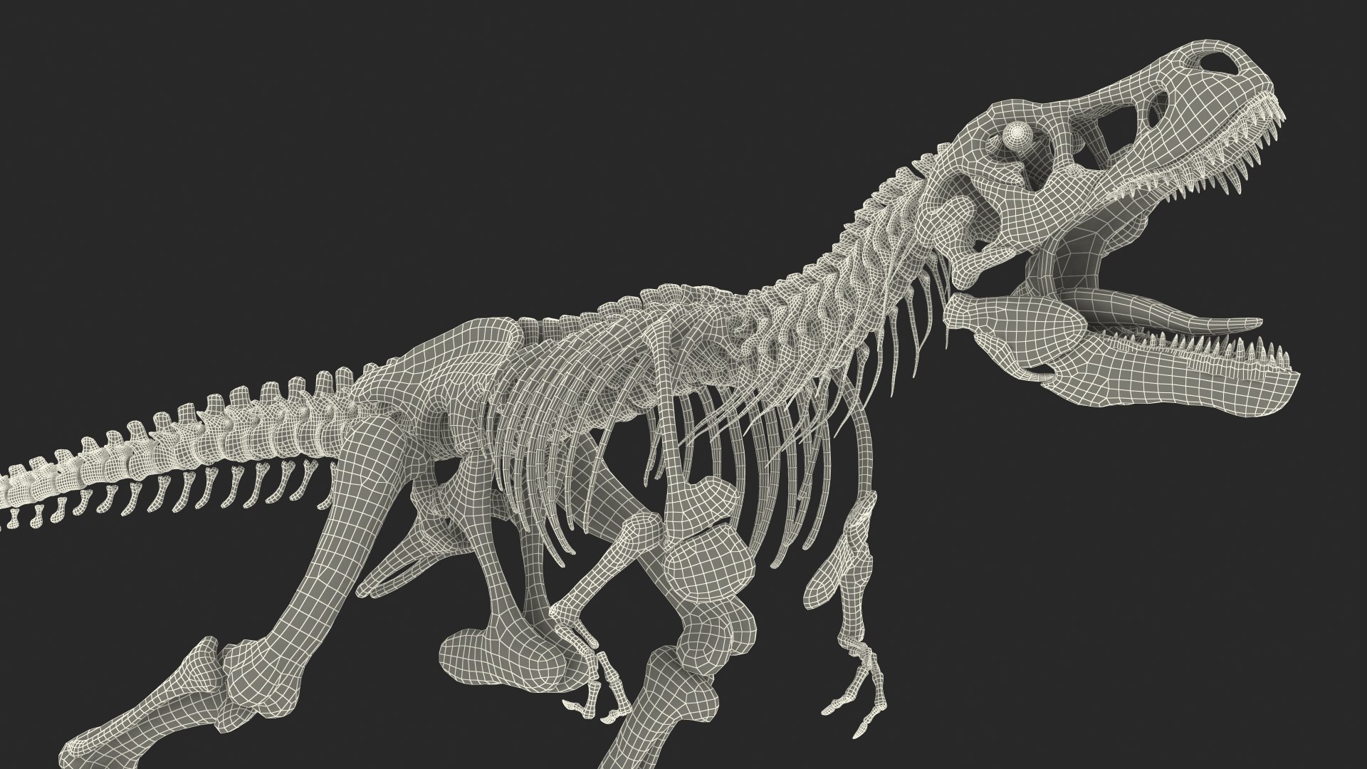 Tyrannosaurus Rex Skeleton Standing 3D - TurboSquid 1482364