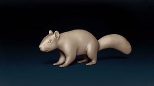 Squirrel Base Mesh 3D model