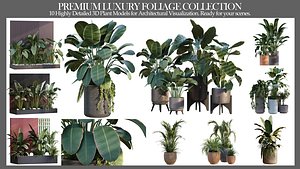 Premium Luxury Foliage Collection 10 3D Plant Models 3D model