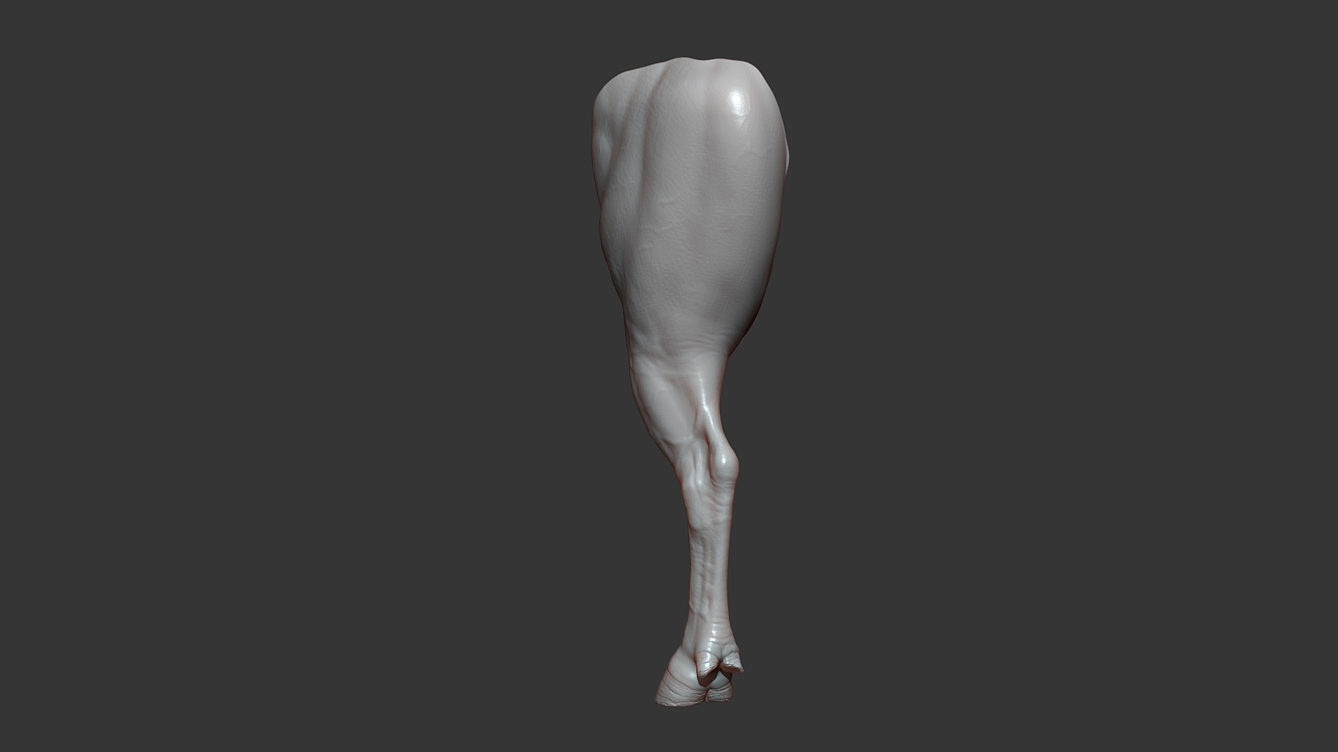 Bull Rear Leg Highpoly Sculpt 3D Model - TurboSquid 1809073