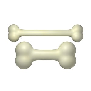 3D bone cartoon model