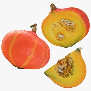 Pumpkin Collection 3D model