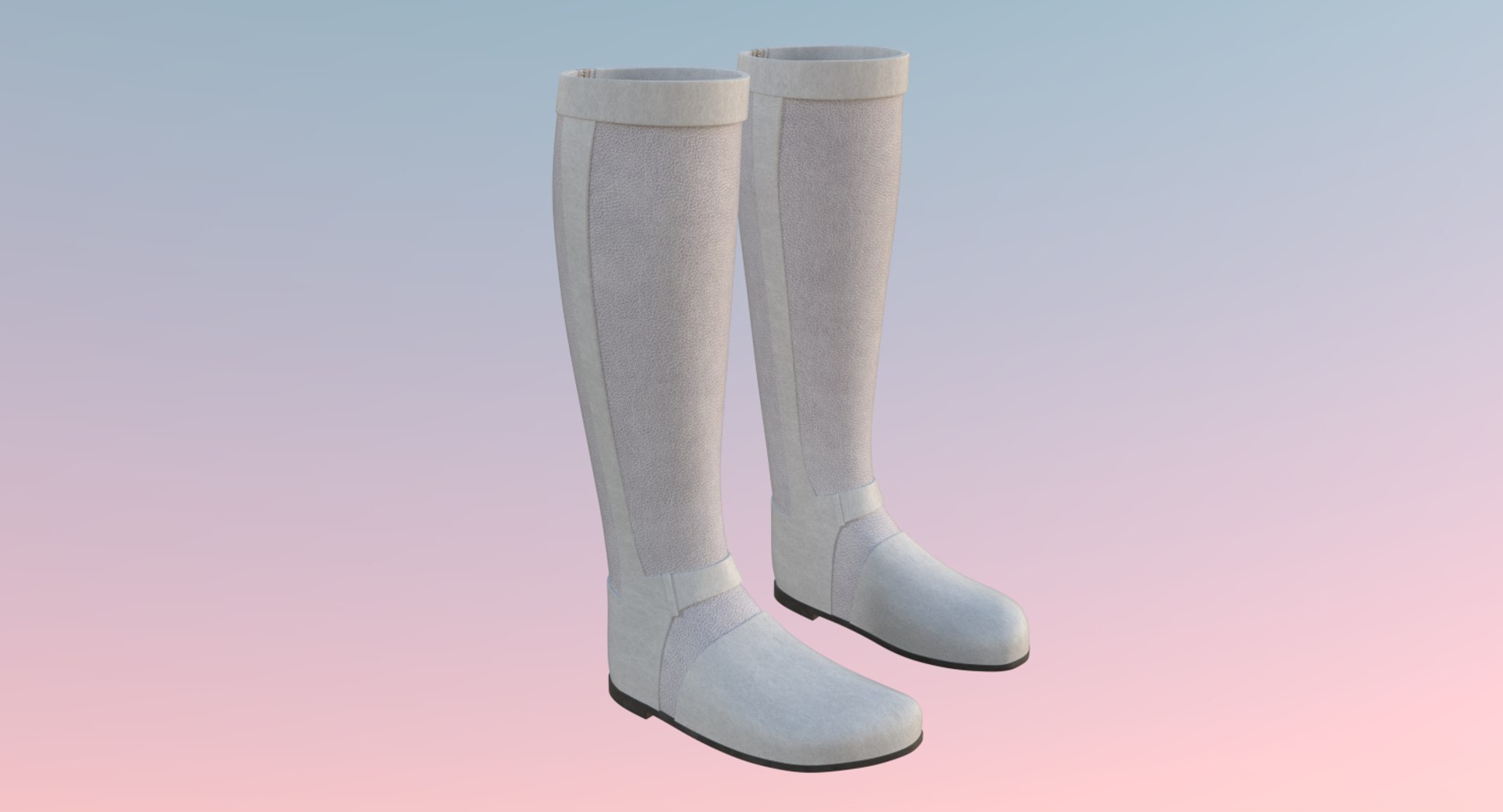 Riding boots 2 3D model - TurboSquid 1181741