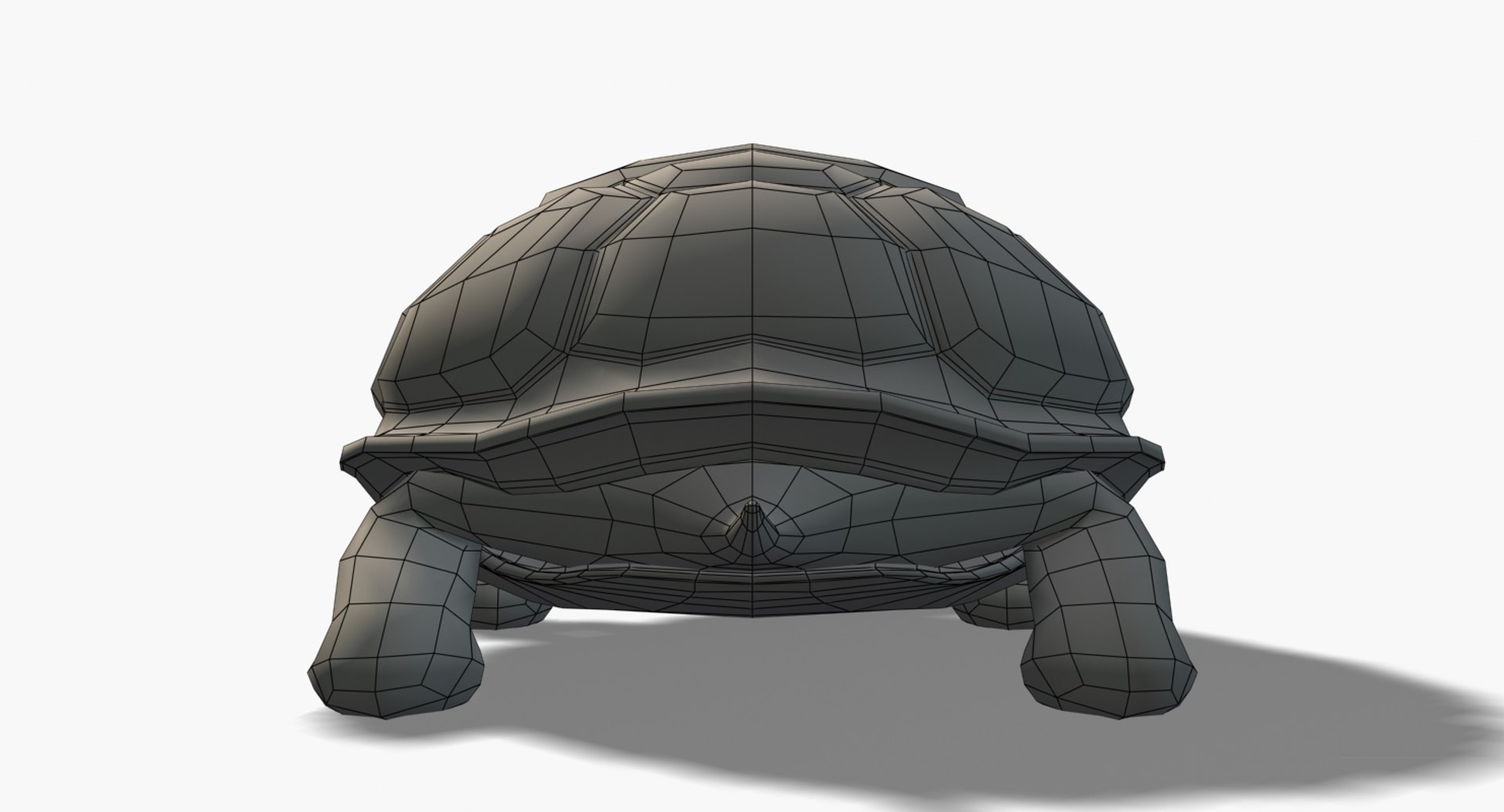 Cartoon Turtle 3d Max