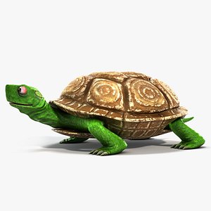 cartoon turtle 3d max