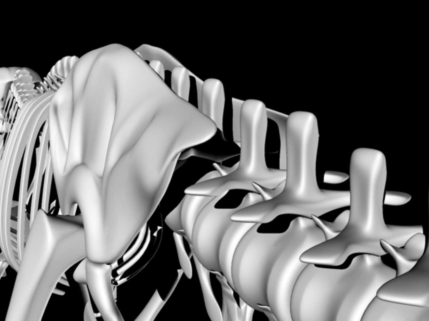 t-rex skeleton 3d model https://p.turbosquid.com/ts-thumb/UQ/5G6MiP/0NyEvuVe/trex12/jpg/1105149488/1920x1080/fit_q87/c5df8254f146298760dfb38443a9c8c535d30a59/trex12.jpg