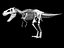 tyrannosaurusSkeletonLo