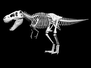tyrannosaurusSkeletonLo.obj