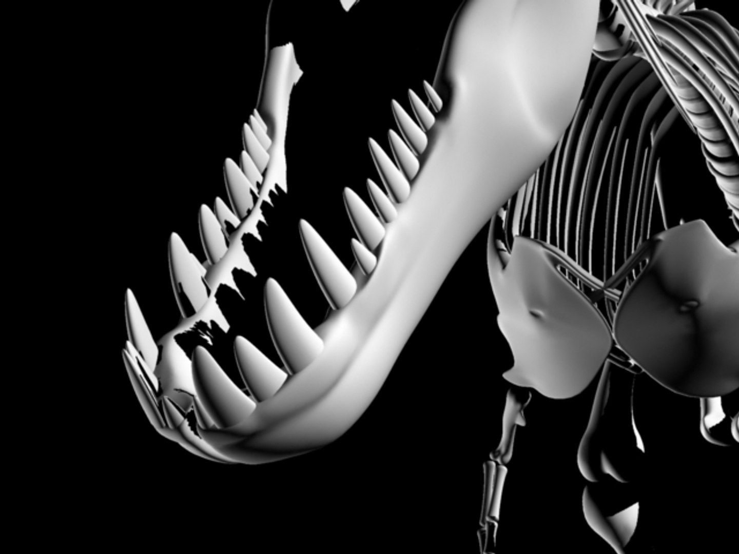 t-rex skeleton 3d model https://p.turbosquid.com/ts-thumb/UQ/5G6MiP/9PxDjDxg/trex09/jpg/1105149478/1920x1080/fit_q87/bdca6c71181bb474f16f538ea295635484e9bc8e/trex09.jpg