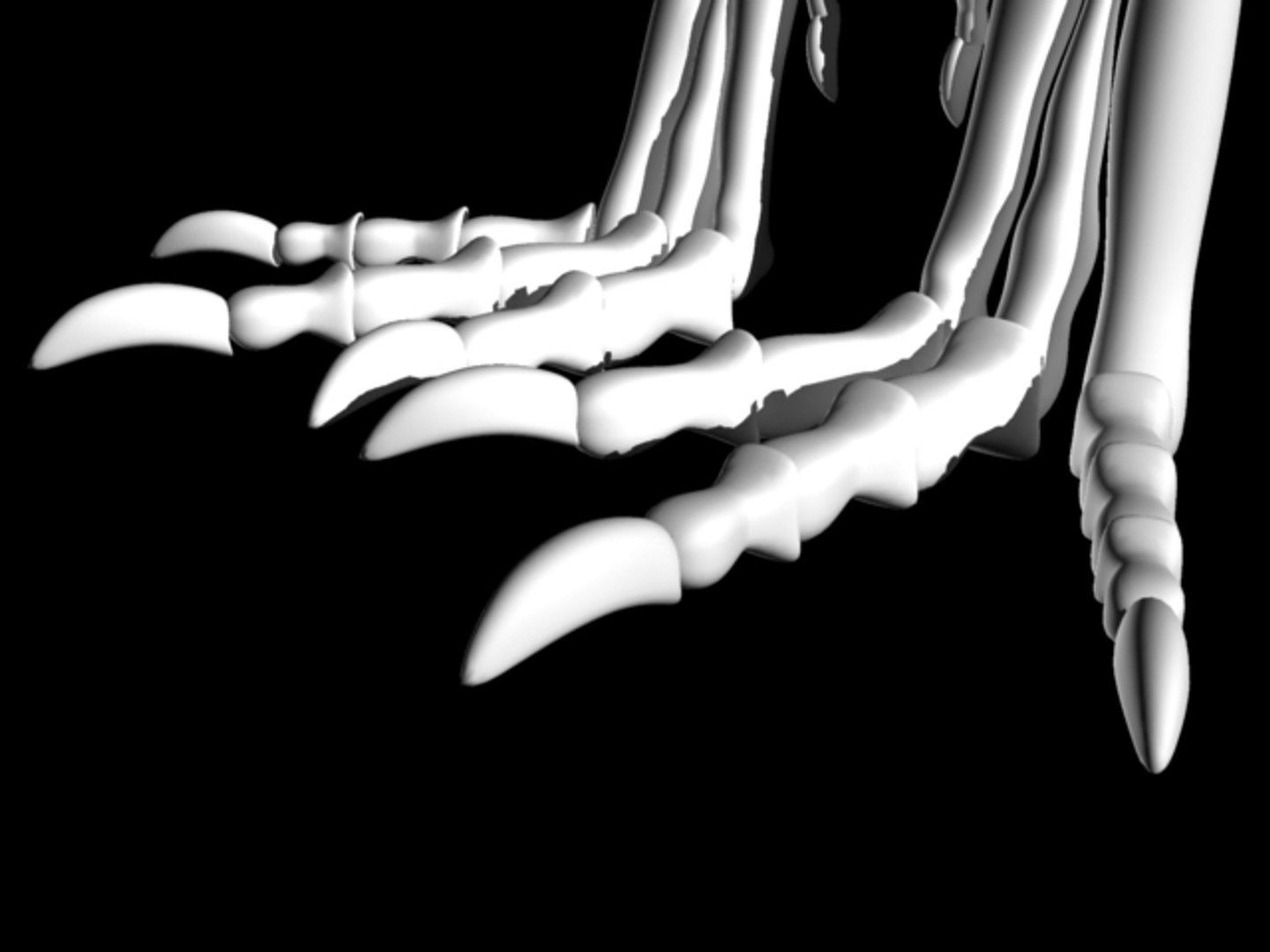 t-rex skeleton 3d model https://p.turbosquid.com/ts-thumb/UQ/5G6MiP/ni6XtpF7/trex07/jpg/1105149471/1920x1080/fit_q87/7f3bda1098b238e83ce64f397694a5a013e8d166/trex07.jpg
