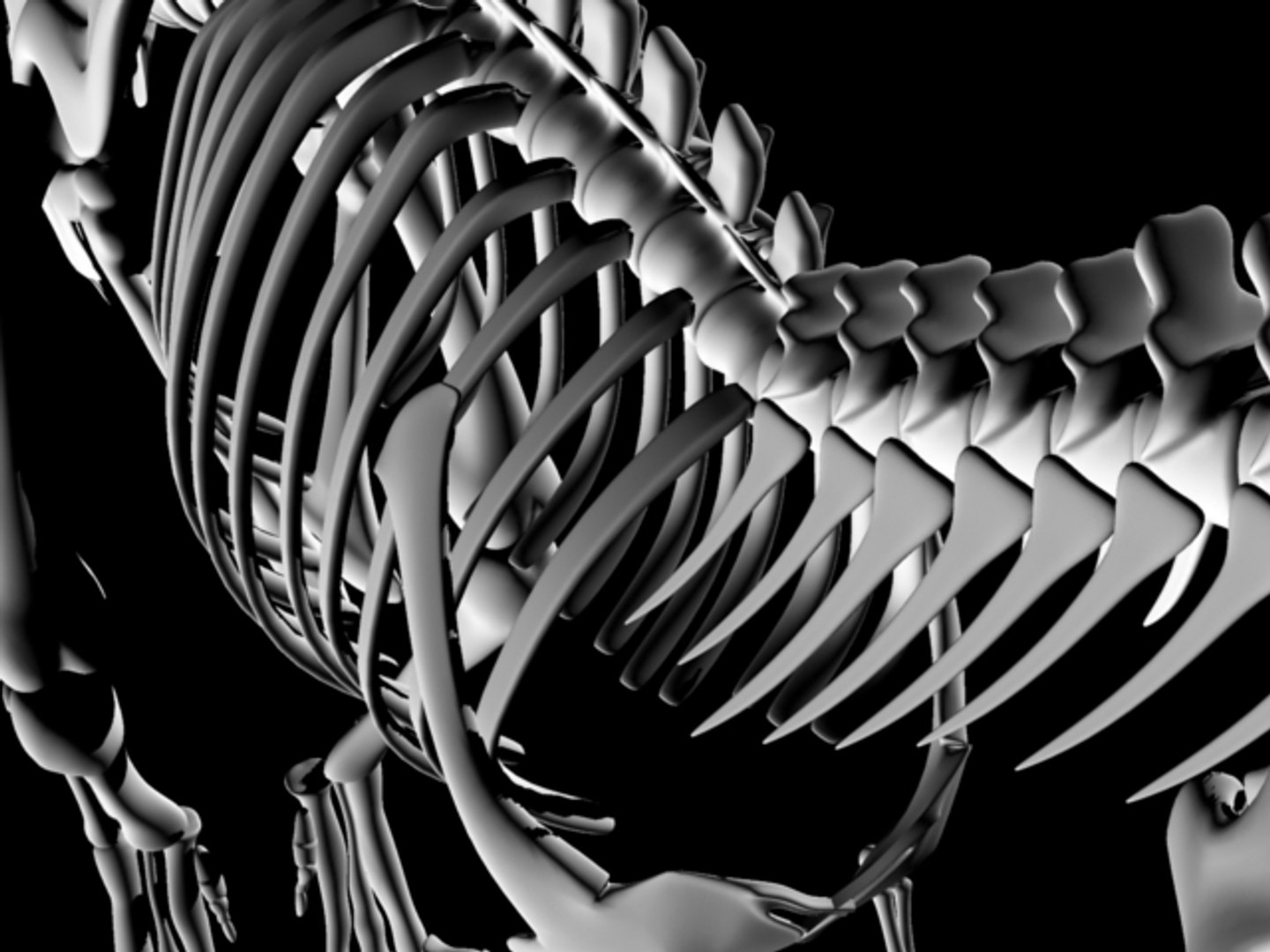 t-rex skeleton 3d model https://p.turbosquid.com/ts-thumb/UQ/5G6MiP/uuWKTEyC/trex11/jpg/1105149485/1920x1080/fit_q87/944aeb361198fab26f00a0905b4596d616c62851/trex11.jpg