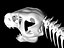 tyrannosaurusSkeletonLo