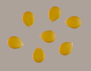 3D corn kernel