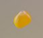 3D corn kernel