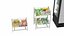 3D Freezer Drinks Display Cabinet model