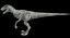 Velociraptor (Rigged)