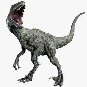 Velociraptor (Rigged)