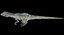 Velociraptor (Rigged)