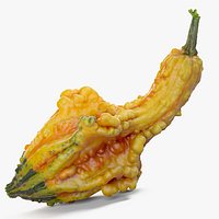Yellow Crookneck Squash Pumpkin