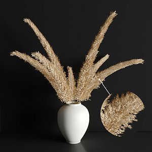 pampas grass