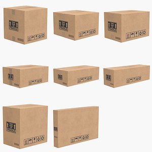 Cardboard Box Closed V1 Collection