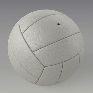 volleyball