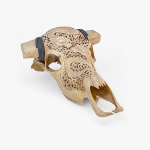 Cow Skull with Dragon Carved
