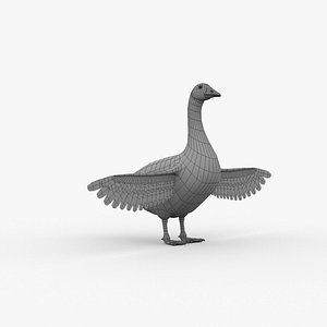 goose basemesh 3D