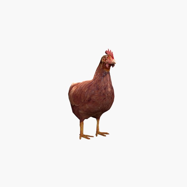 Hen 3D model - TurboSquid 1732750