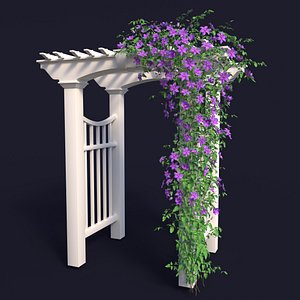 garden arch 1 clematis model